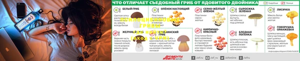 эйфоретик Верея