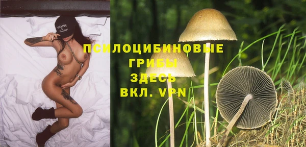 прущая мука Богданович