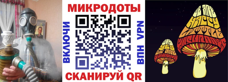 Галлюциногенные грибы Psilocybine cubensis Белокуриха